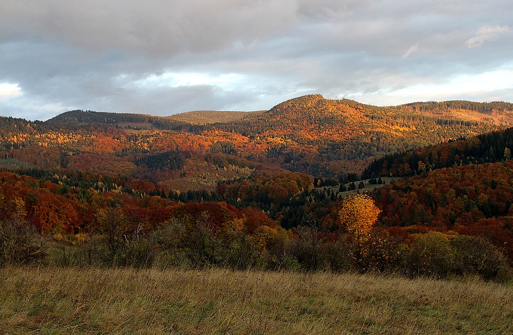 Suchý vrch od Starca  zo dňa 30.10.2009