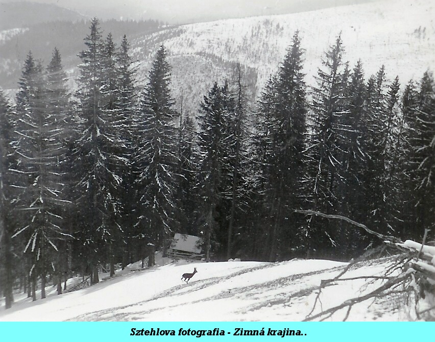 2 - 028a - Sztehlova fotografia - Zimná krajina..